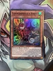 Floowandereeze & Robina