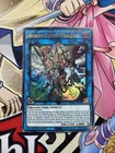 Borrelcode Dragon