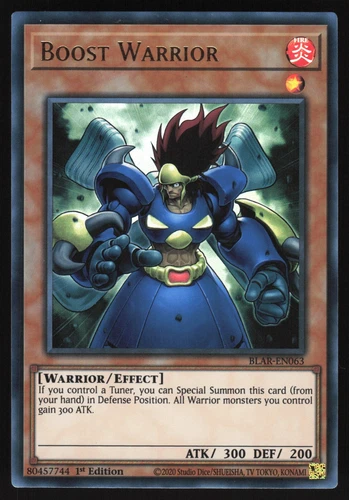 Blizzard Warrior