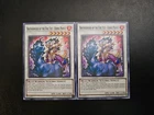 Brotherhood of the Fire Fist - Horse Prince