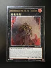 Brotherhood of the Fire Fist - Tiger King