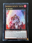 Brotherhood of the Fire Fist - Tiger King