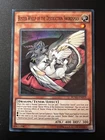 Buster Whelp of the Destruction Swordsman