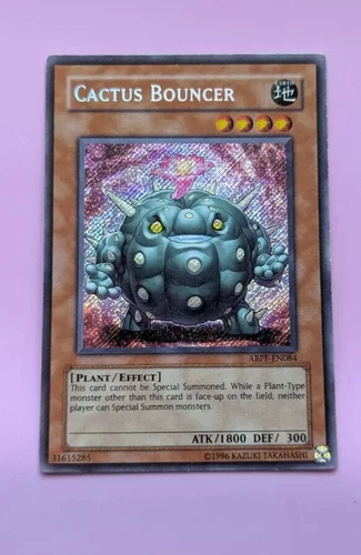 Cactus Bouncer