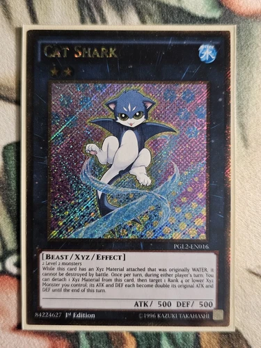 Cat Shark