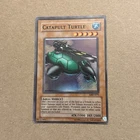 Catapult Turtle