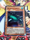 Catapult Turtle