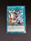 Cattle Call
