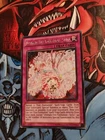 Ultimate Fire Formation - Seito