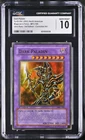 Dark Paladin