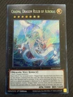 Imduk the World Chalice Dragon