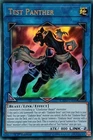 Test Panther