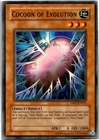 Cocoon of Evolution