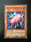 Cocoon of Evolution