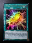 Cocoon of Evolution