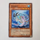 Codarus