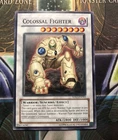 Colossal Fighter