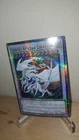 Blowback Dragon
