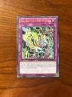Maliss MTP-07