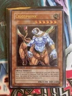 Criosphinx