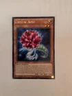 Crystal Rose