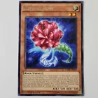 Brilliant Rose