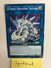 Curse of Dragon, the Cursed Dragon