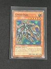 Cyber Ogre