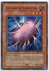 Cocoon of Evolution