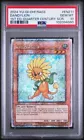 Dandylion