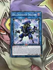 Dillingerous Dragon