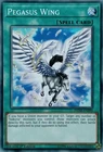Pegasus Wing