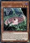Danger!? Tsuchinoko?