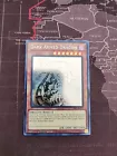 Dark Armed Dragon