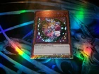 Dark Magician Girl