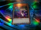 Dark Magician Girl