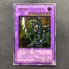 Cyber Shadow Gardna