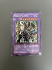 Dark Paladin