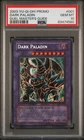 Dark Paladin