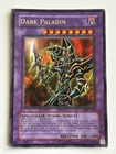 Dark Paladin