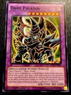 Dark Paladin