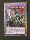 Dark Paladin
