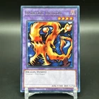 Darkfire Dragon