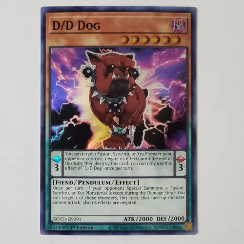 D/D Dog