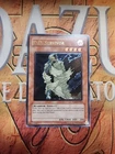 D.D. Survivor