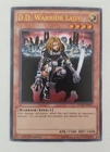 D.D. Warrior Lady