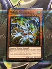 Debris Dragon