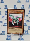 Different Dimension Dragon