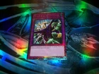 Dimensional Fissure