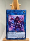 Wiz, Sage Fur Hire